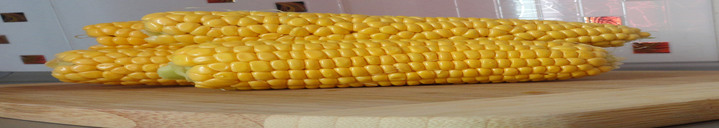 Клин клином вышибают